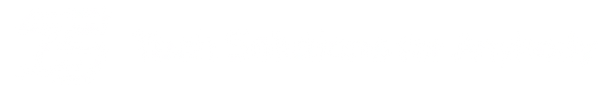 Tech Solutions for Anybody
